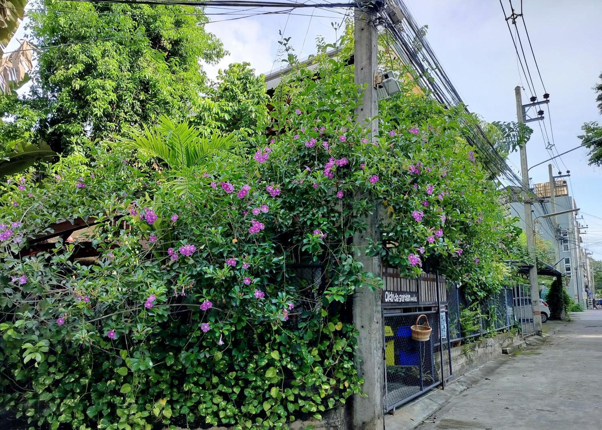 Oldy De Garden Aparthotel Chiang Mai Exterior photo